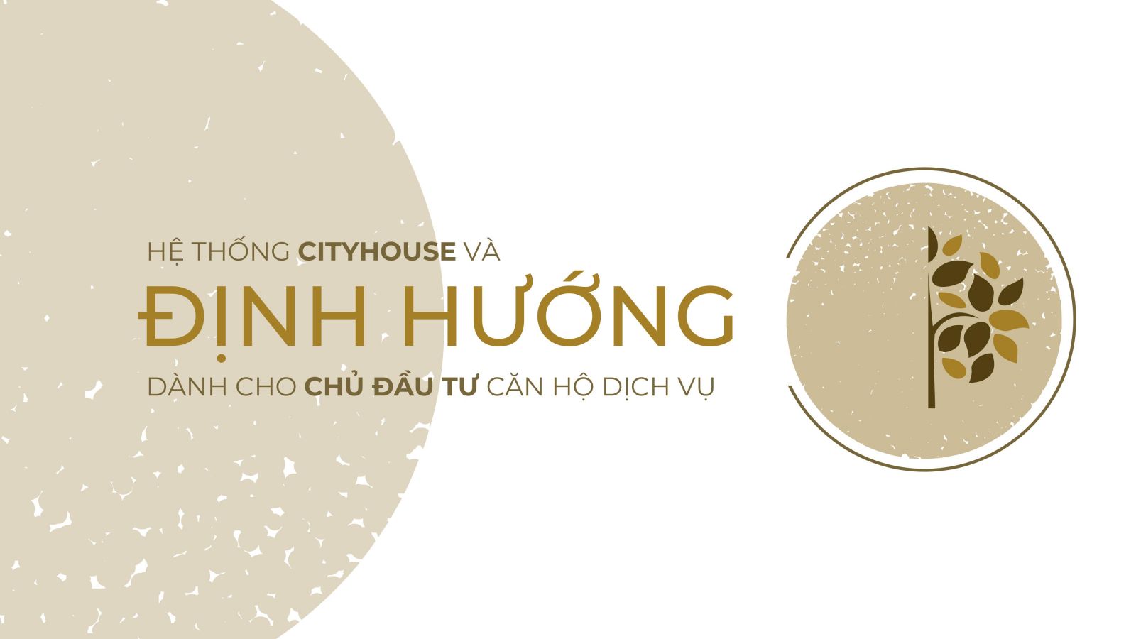 Hệ thống cityhouse, định hướng đầu tư căn hộ dịch vụ, hệ thống căn hộ dịch vụ cho thuê thành phố hồ chí minh