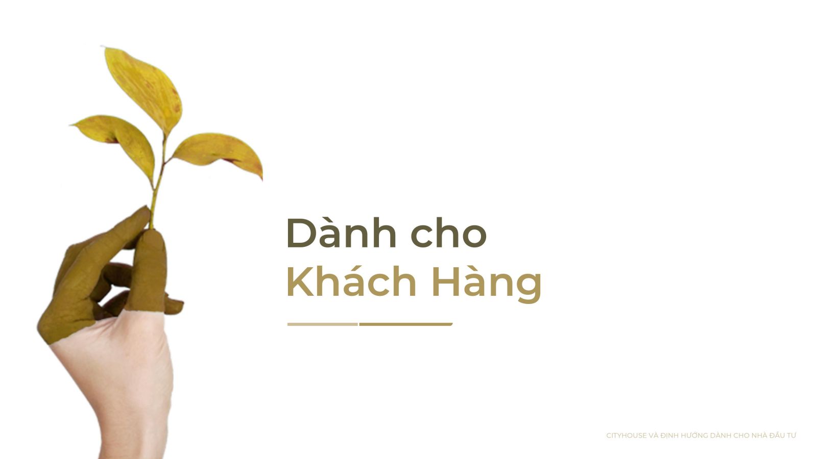 dành cho khách hàng, Cityhouse apartment, dịch vụ chuẩn cityhouse