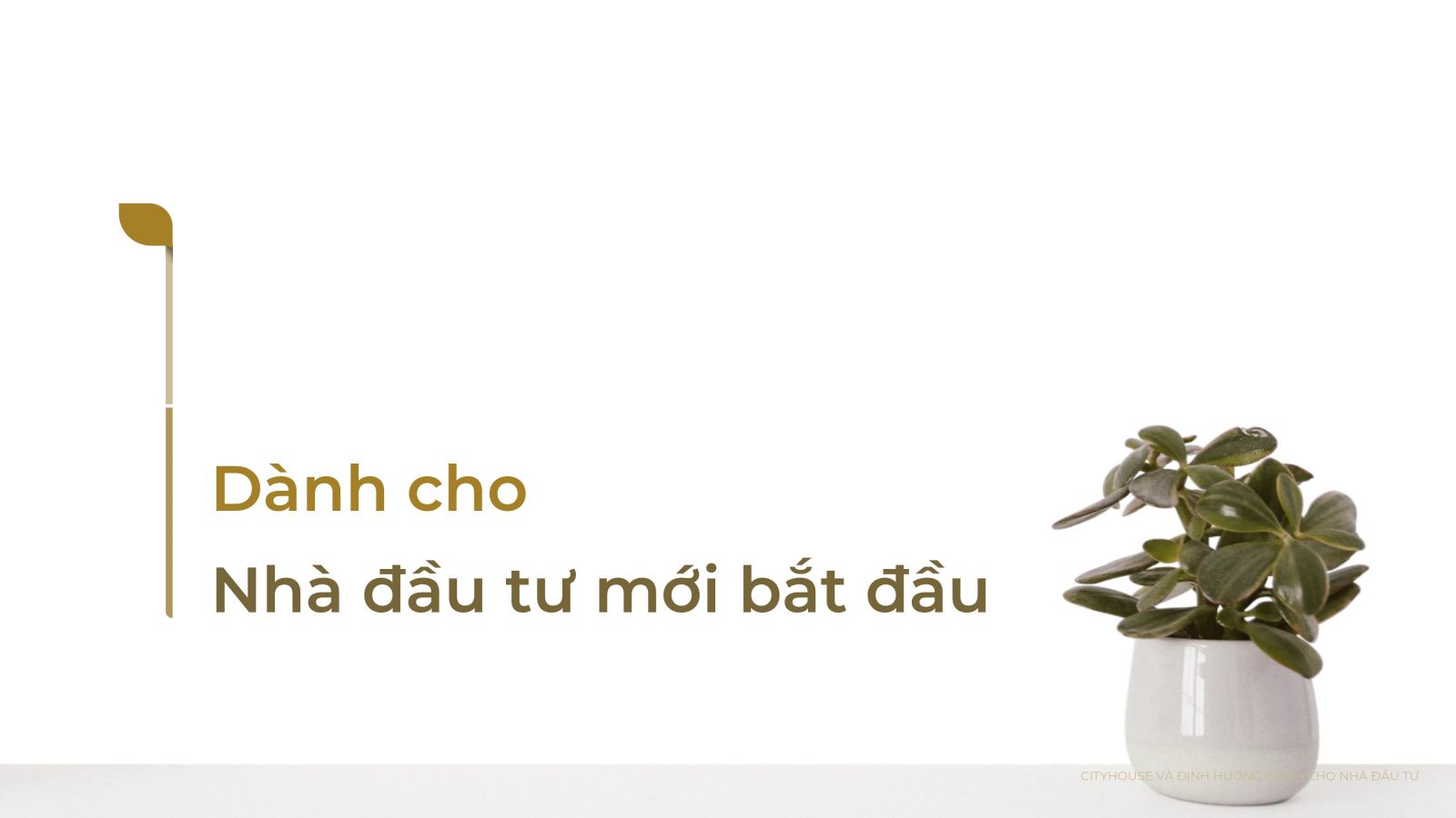 nhà đầu tư mới, đầu tư căn hộ dịch vụ, tu vấn đầu tư căn hộ dịch vụ