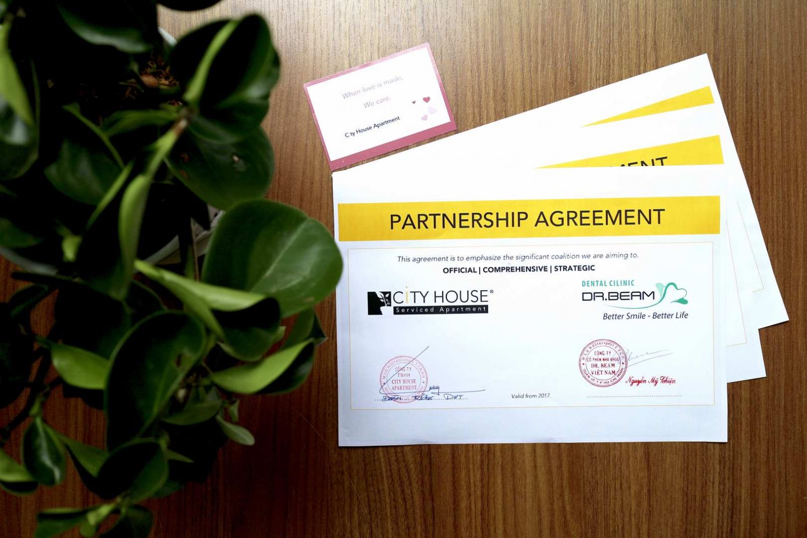 Partnership Program